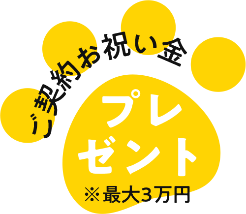 ご契約お祝い金プレゼント※最大3万円